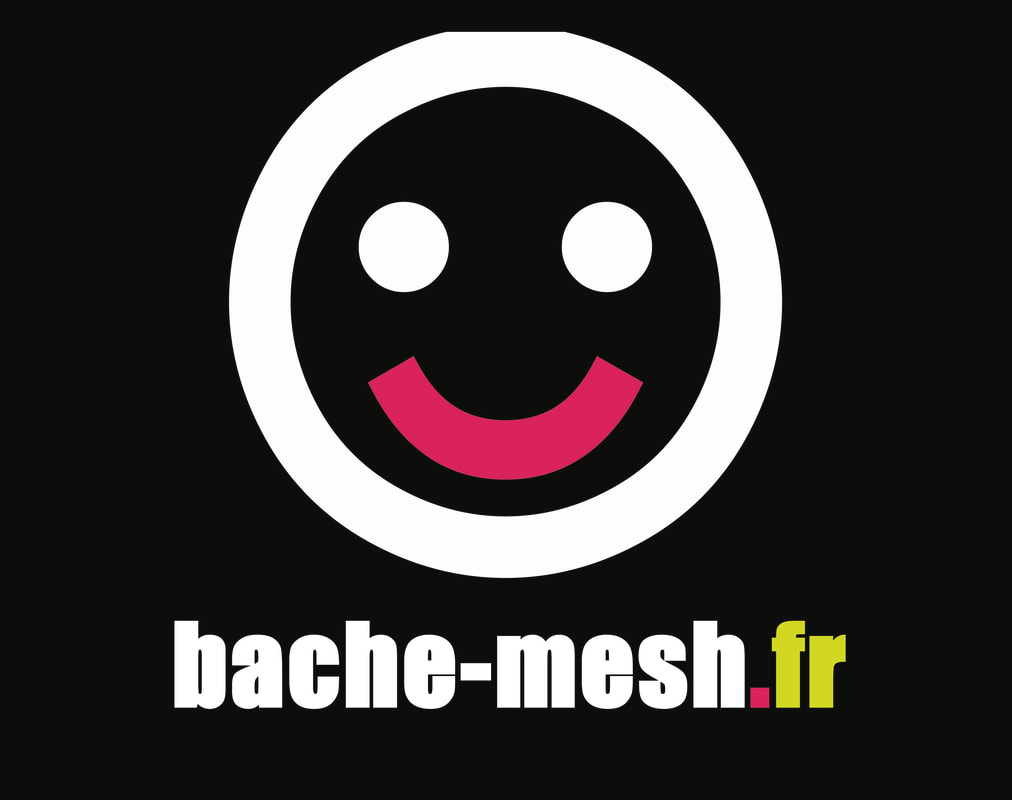 Bache-Mesh logo